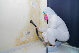 Why You Should Choose Our Mold Remediation Services in Neosho, MO